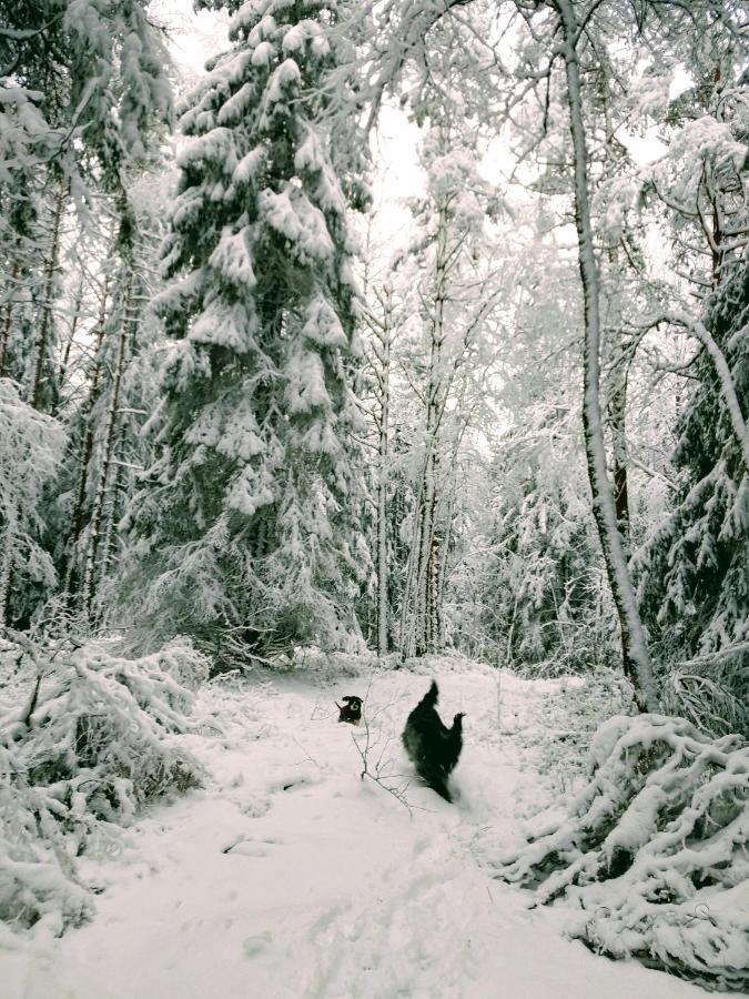 Stuga Glaskogen Glava المظهر الخارجي الصورة